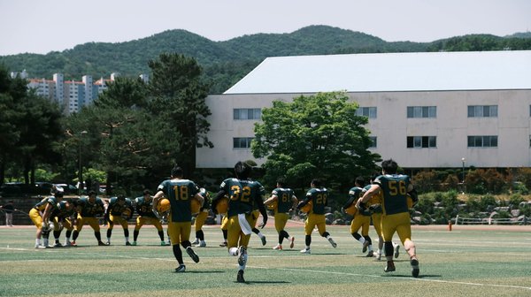 Wie tragen Nachrichten zur Bildung der Gesellschaft bei?